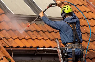 Démoussage et hydrofuge de toiture à Cesancey
